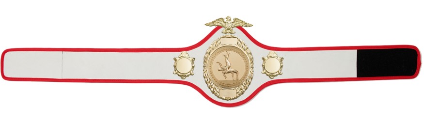 WRESTLING CHAMPIONSHIP BELT-PRO288/S/WRES - 10 COLOURS